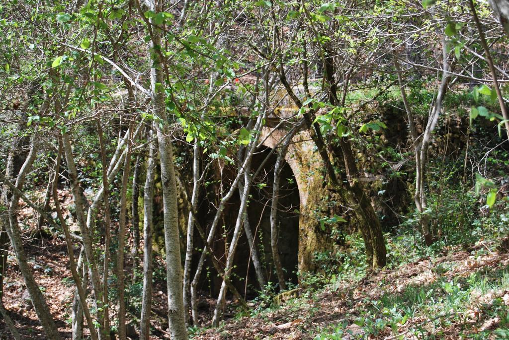 Casa Rural La Cuadraa Linares de Riofrío Buitenkant foto